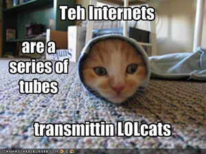 internet_cat