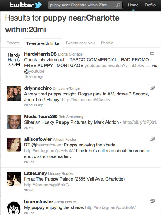 puppy-search puppy-search