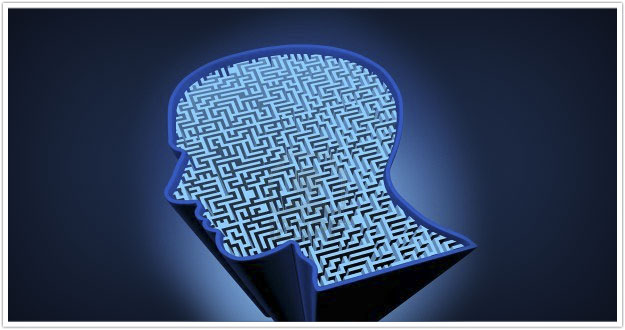 user-center-article user-center-article